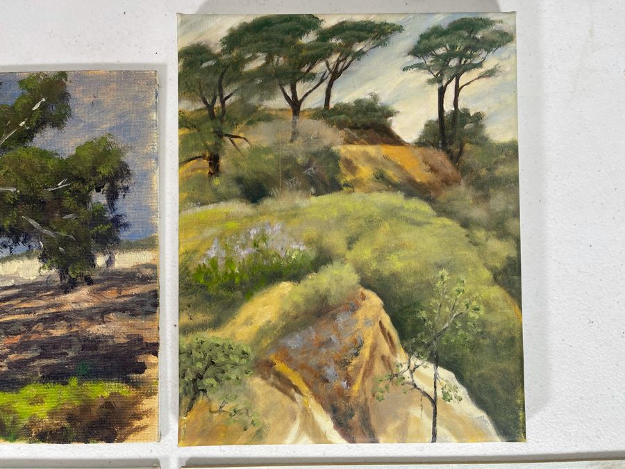 Set Of Four Local North County San Diego Plein Air Paintings Various Sizes 9 X 12 [Photo 5]