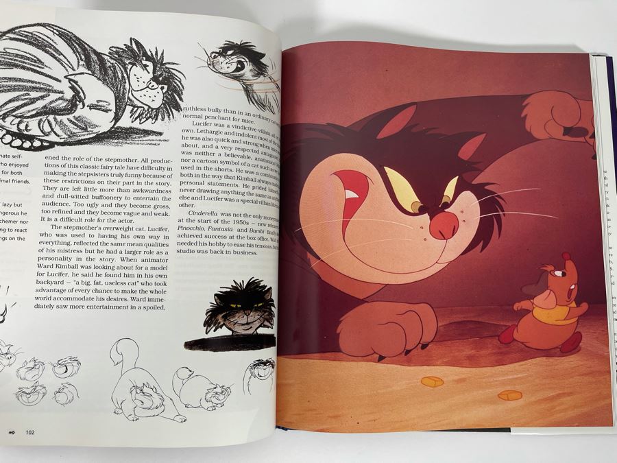 First Edition Hardcover Book The Disney Villain [Photo 11]