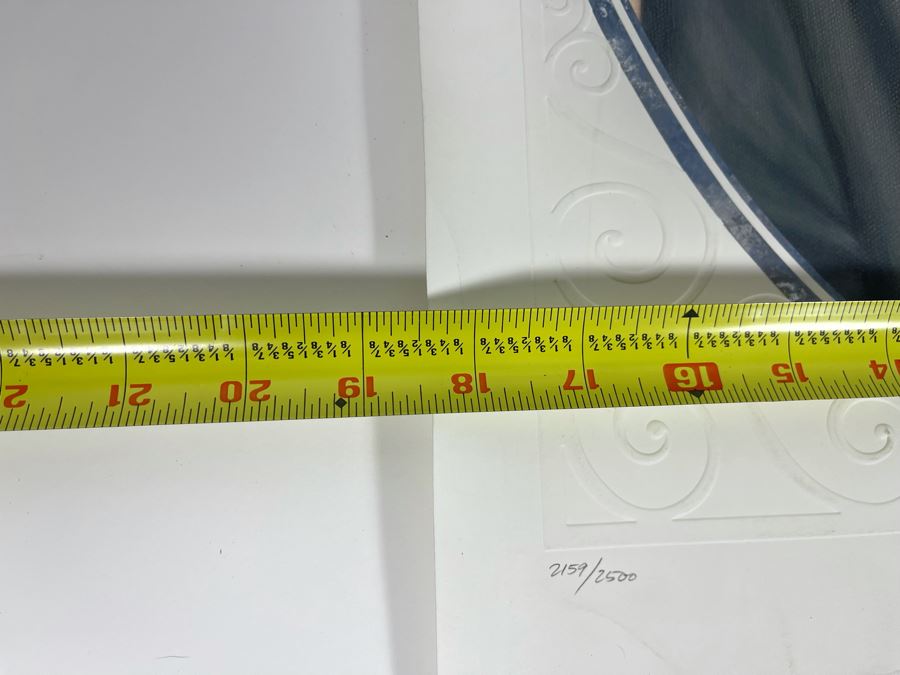 Hand Signed Limited Edition Lithograph Walt Disney’s 100th Birthday Cast Member 18.5 X 23 [Photo 9]