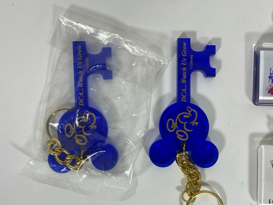 Collection Of Disney Keychains [Photo 9]