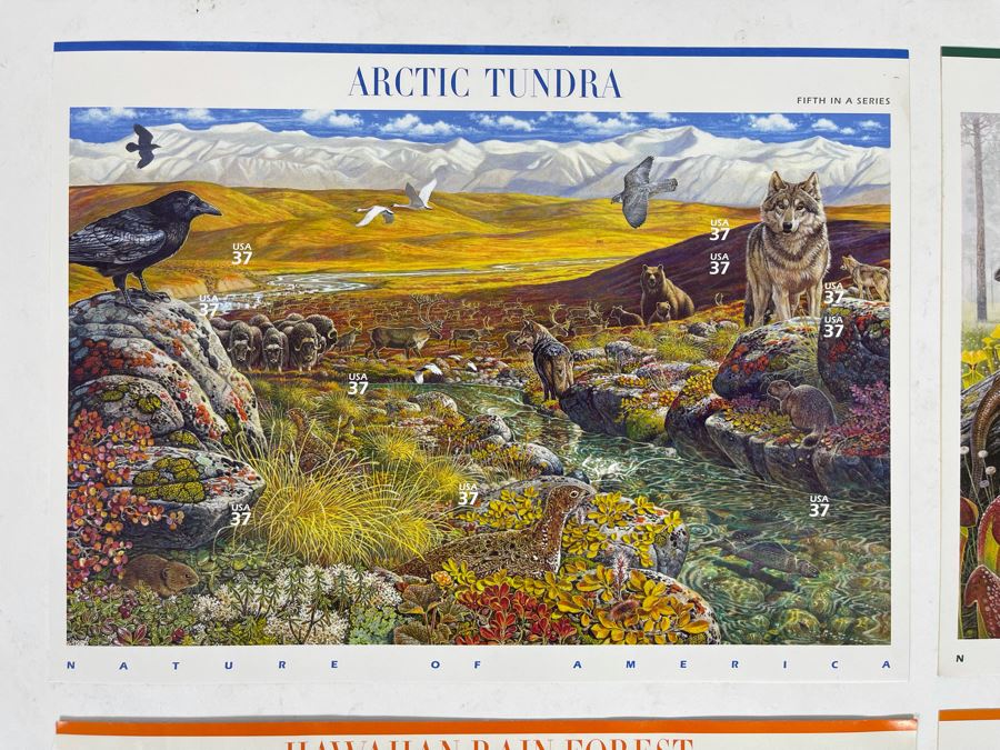 (4) Mint Postage Stamp Sets: Arctic Tundra, Longleaf Pine Forest, Hawaiian Rain Forest, Sonoran Desert [Photo 2]