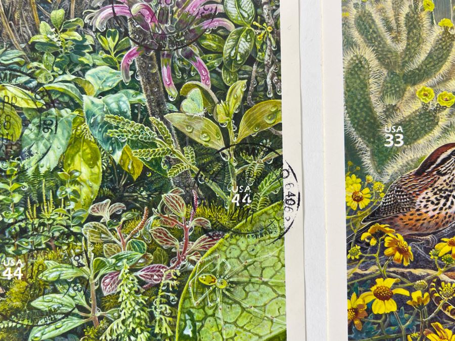 (4) Mint Postage Stamp Sets: Arctic Tundra, Longleaf Pine Forest, Hawaiian Rain Forest, Sonoran Desert [Photo 6]
