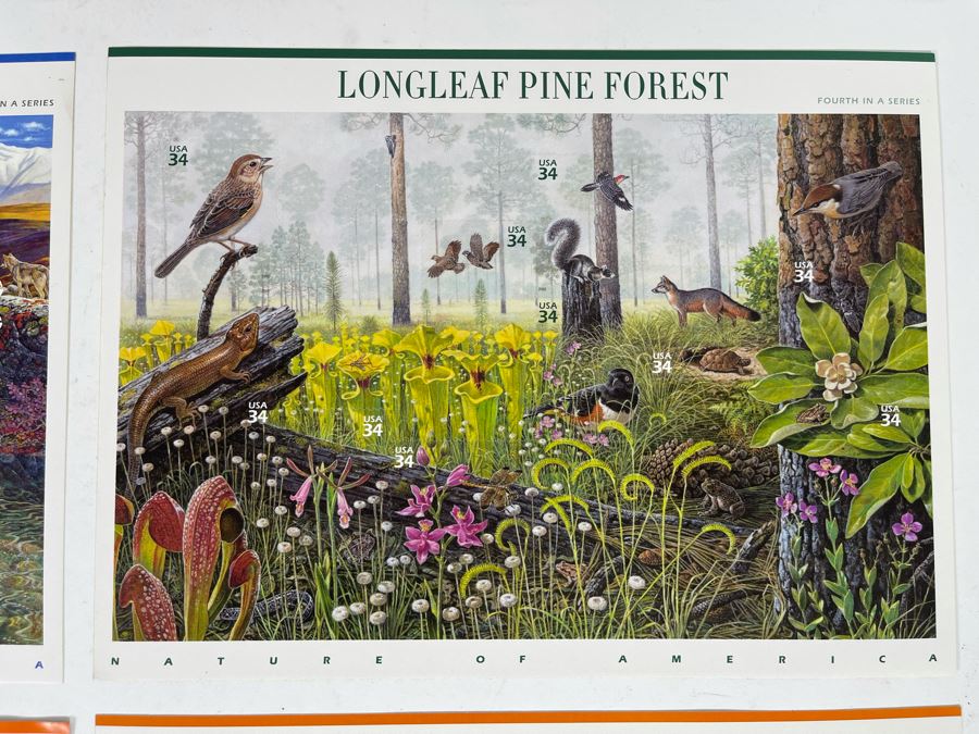 (4) Mint Postage Stamp Sets: Arctic Tundra, Longleaf Pine Forest, Hawaiian Rain Forest, Sonoran Desert [Photo 5]