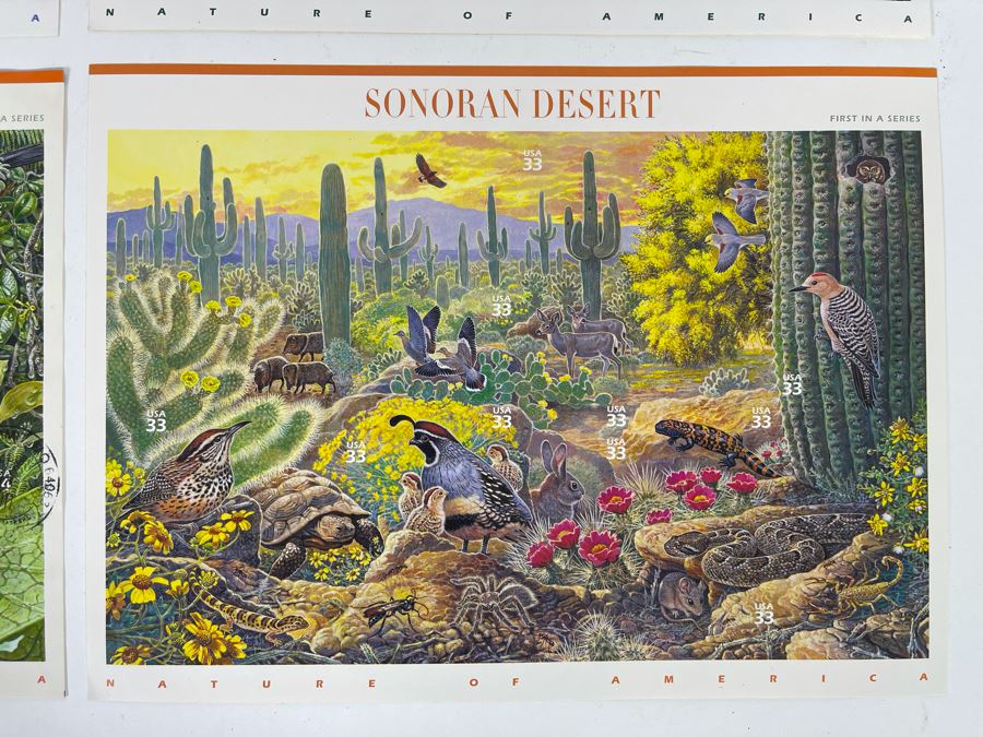 (4) Mint Postage Stamp Sets: Arctic Tundra, Longleaf Pine Forest, Hawaiian Rain Forest, Sonoran Desert [Photo 4]