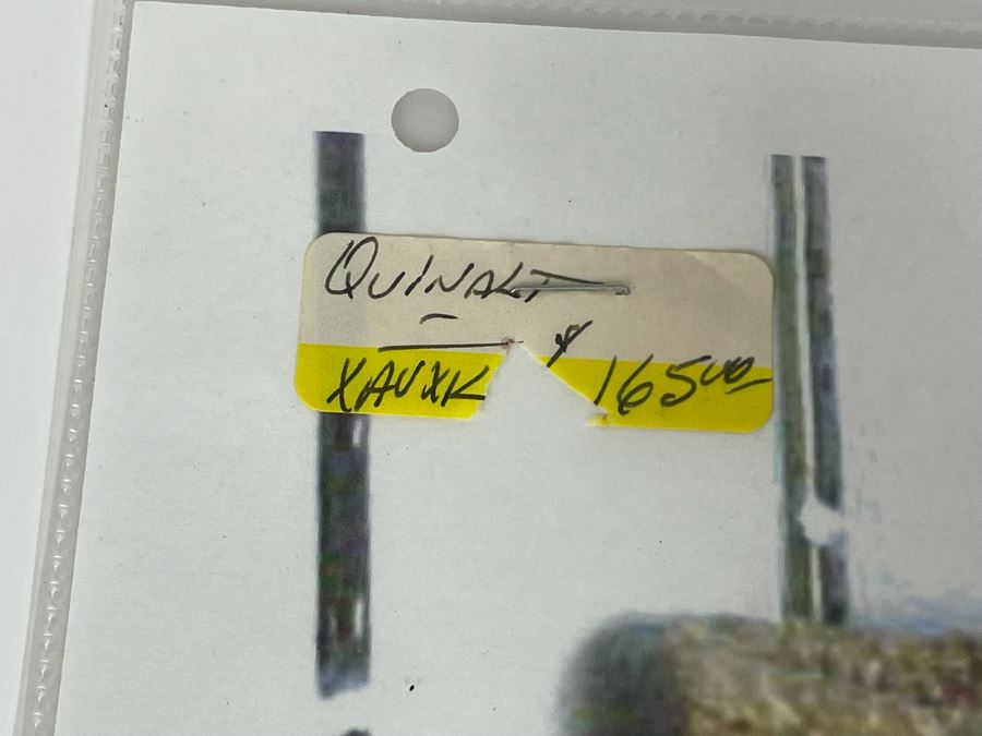 Vintage Quinault Indian Basket 7W X 3.5H [Photo 14]