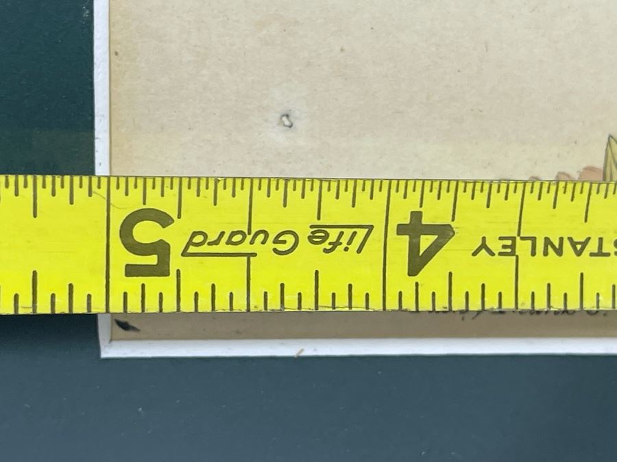 Antique Botanical Engravings By Curtis Framed 5W [Photo 7]