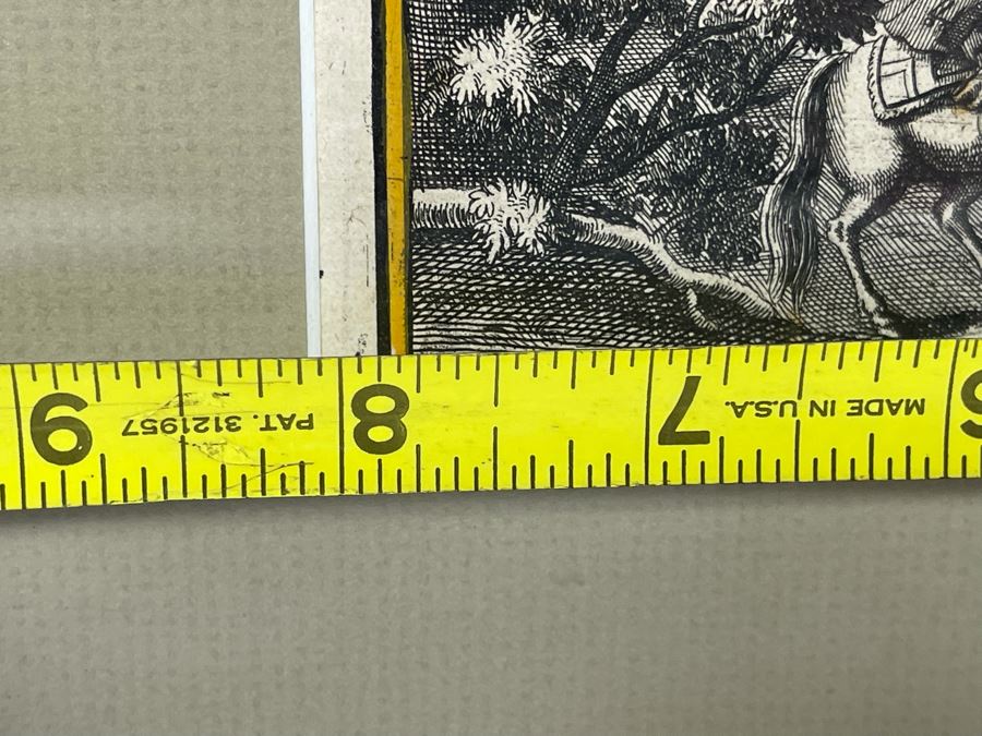 Antique Botanical Engraving From Johann Christoph Volckamer Of Indian Hemp 12.5 X 8 Framed [Photo 10]