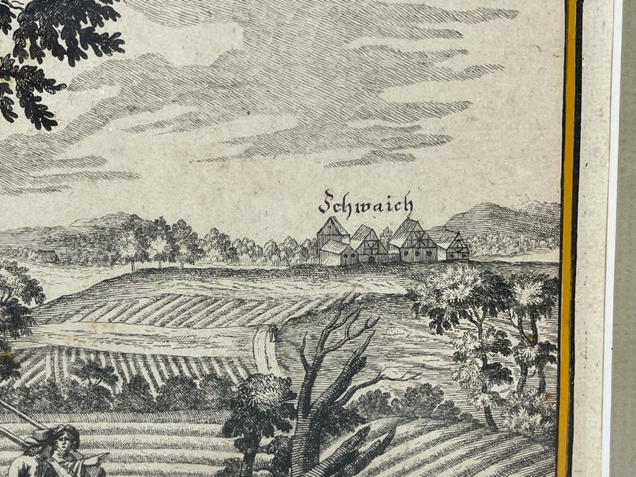 Antique Botanical Engraving From Johann Christoph Volckamer Of Indian Hemp 12.5 X 8 Framed [Photo 8]