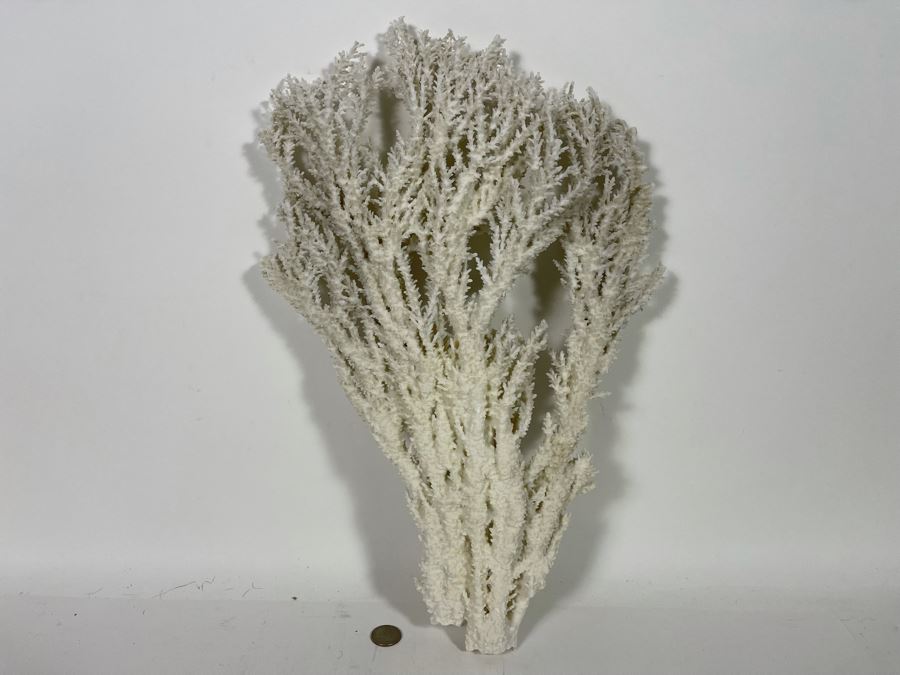 Large Piece Of White Organic Coral 19.5H X 12.5W [Photo 3]