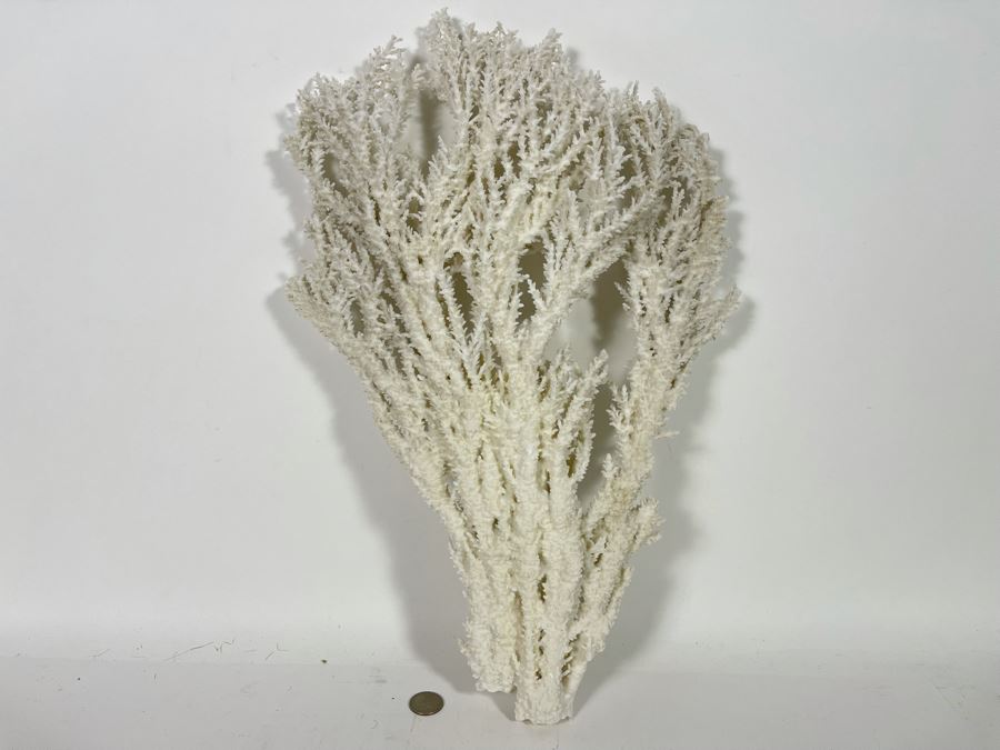 Large Piece Of White Organic Coral 19.5H X 12.5W [Photo 2]