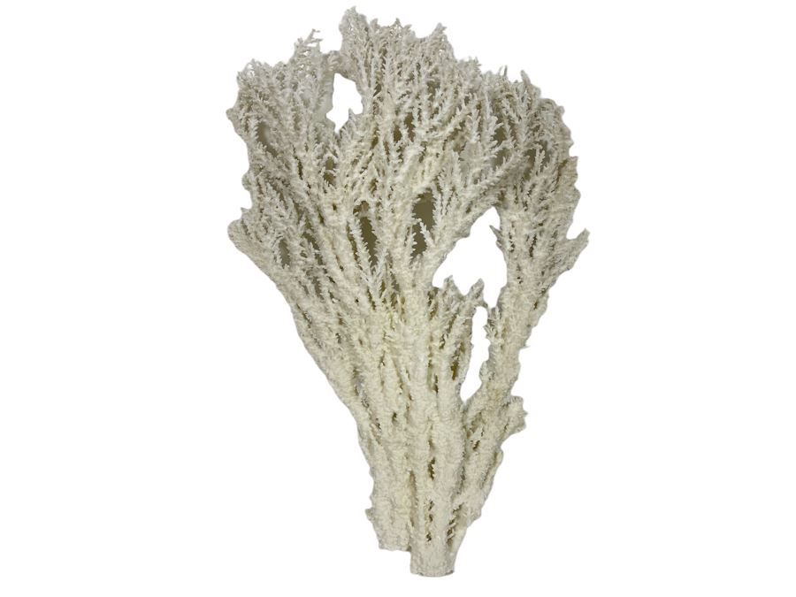 Large Piece Of White Organic Coral 19.5H X 12.5W [Photo 1]