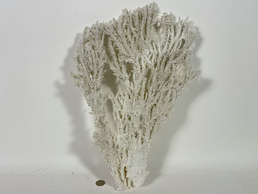 Large Piece Of White Organic Coral 19.5H X 12.5W [Photo 5]