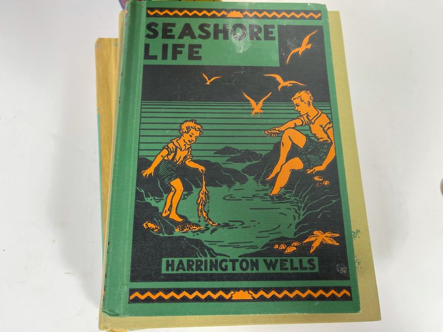 Collection Of Five California State Textbooks From 1940s-50s And First Edition 1926 California Fairy Tales Hardcover Book [Photo 9]