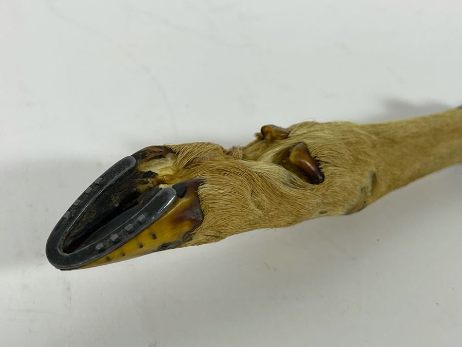 Antique 1892 English Sterling Silver Presentation Knife With Deer Hoof Handle 10L [Photo 8]