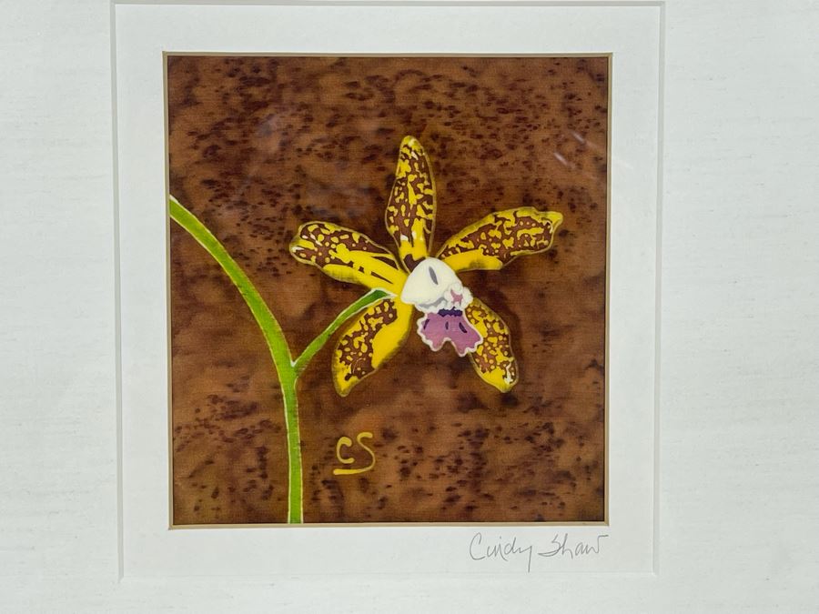 Signed Cindy Shaw Orchid Artwork Framed 13 X 16