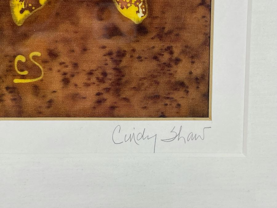Signed Cindy Shaw Orchid Artwork Framed 13 X 16 [Photo 5]