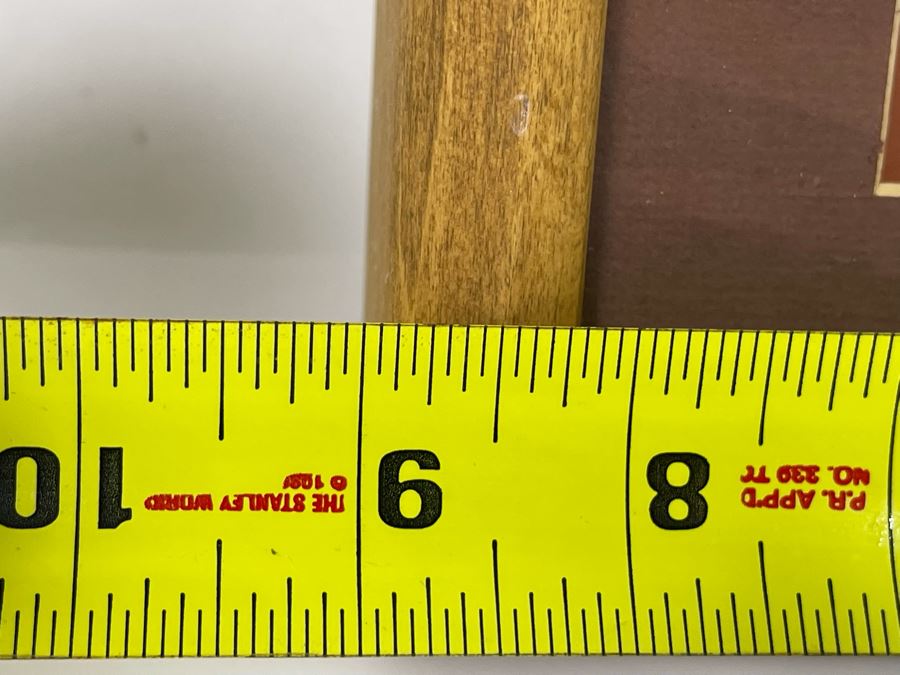 Shadowbox Framed Nautilus Shell 4 X 9 X 2 [Photo 6]