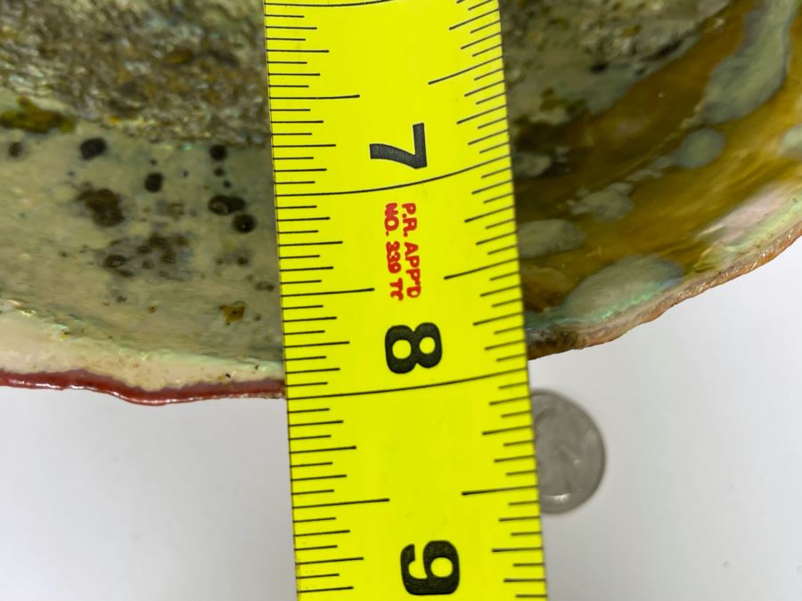 Large Organic Abalone Sea Shell 9.5W X 8D [Photo 9]