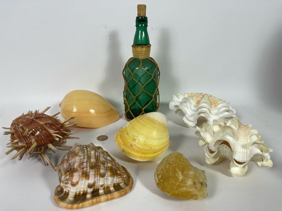Collection Of Various Organic Sea Shells With Green Glass Bottle 10.5H [Photo 2]