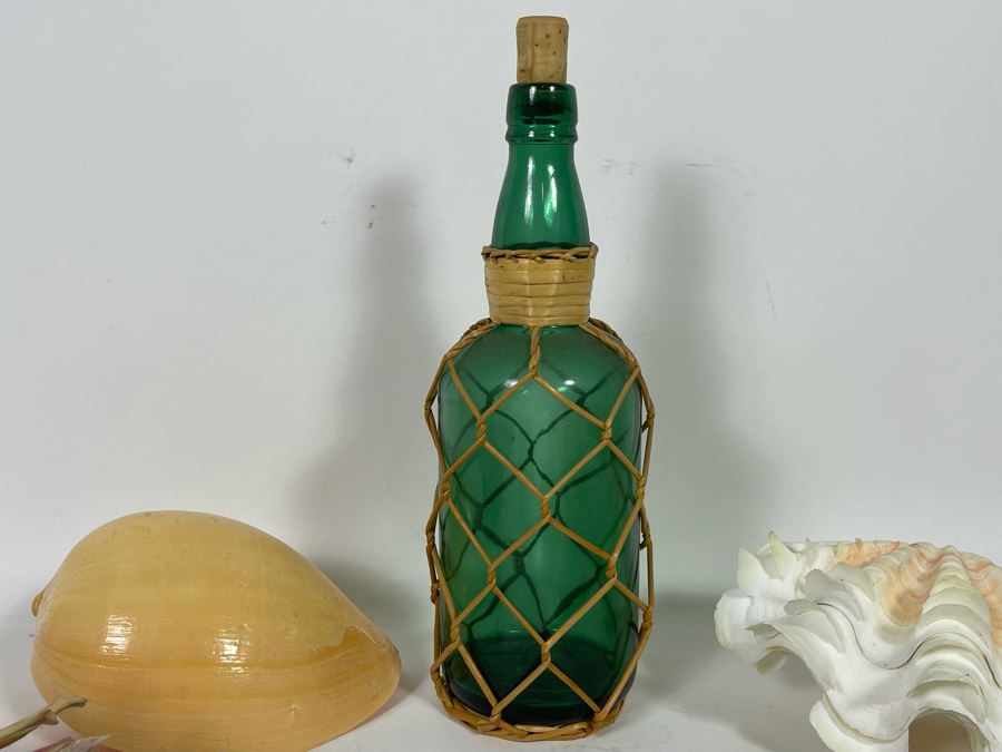 Collection Of Various Organic Sea Shells With Green Glass Bottle 10.5H [Photo 12]