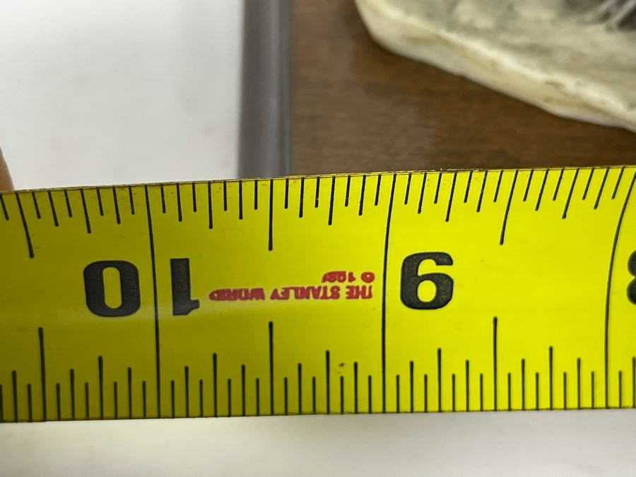 Italian G. Armani Shih Tzu Dog Breed Sculpture 9.5W X 4D X 6.5H [Photo 11]