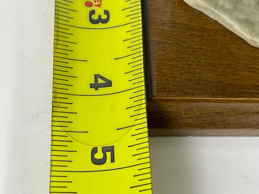 Italian G. Armani Shih Tzu Dog Breed Sculpture 9.5W X 4D X 6.5H [Photo 12]