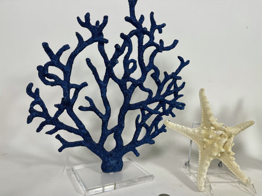 Decorative Faux Coral And Starfish Home Decor [Photo 5]