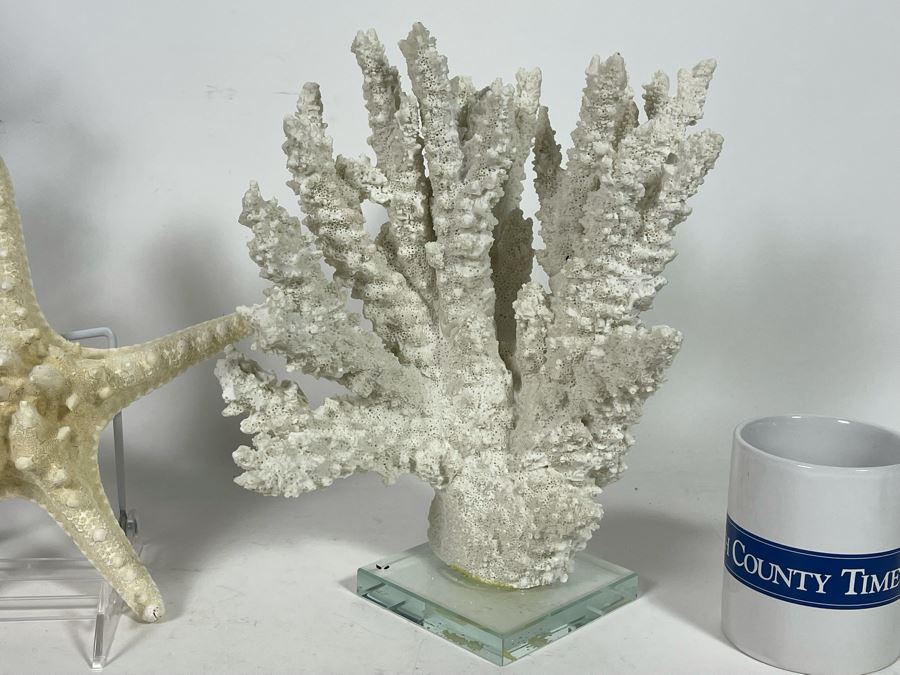 Decorative Faux Coral And Starfish Home Decor [Photo 4]