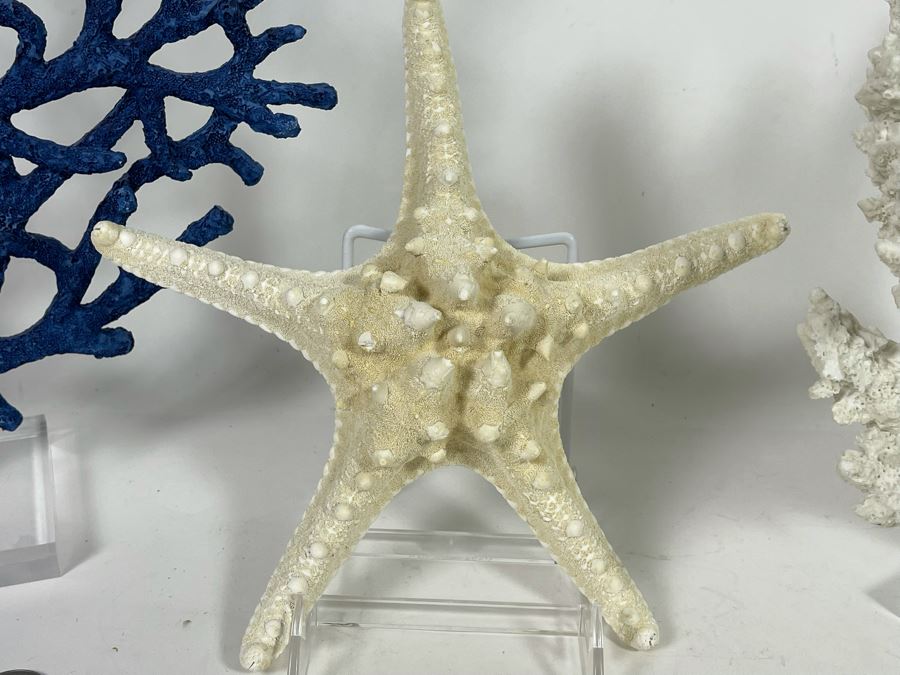 Decorative Faux Coral And Starfish Home Decor [Photo 3]