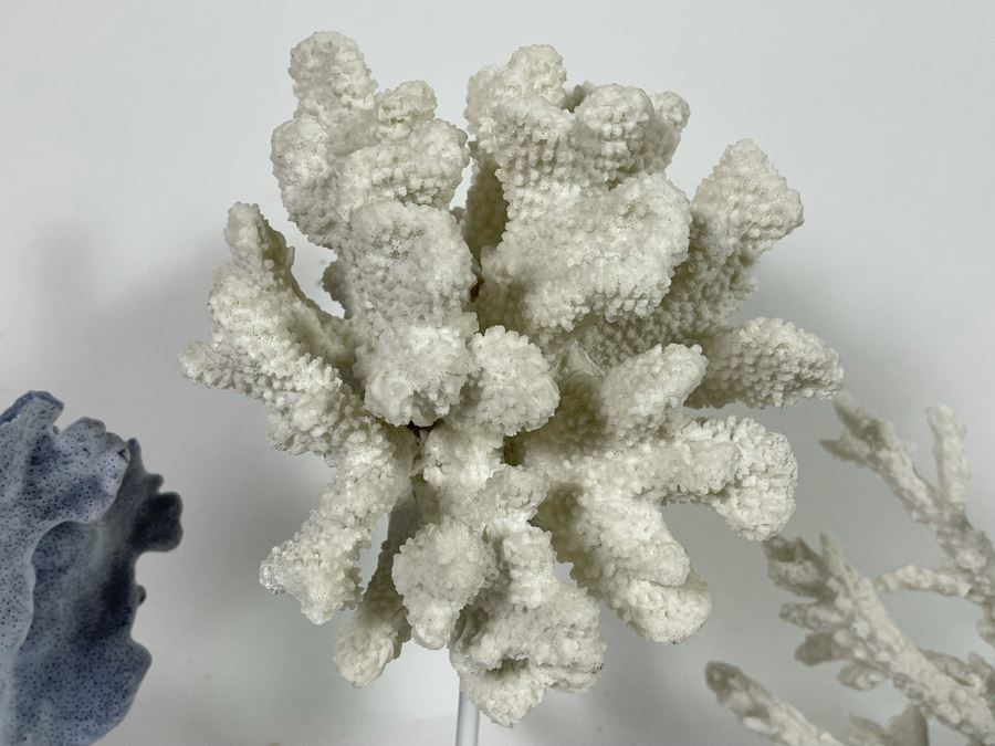 Decorative Faux Coral Home Decor [Photo 5]
