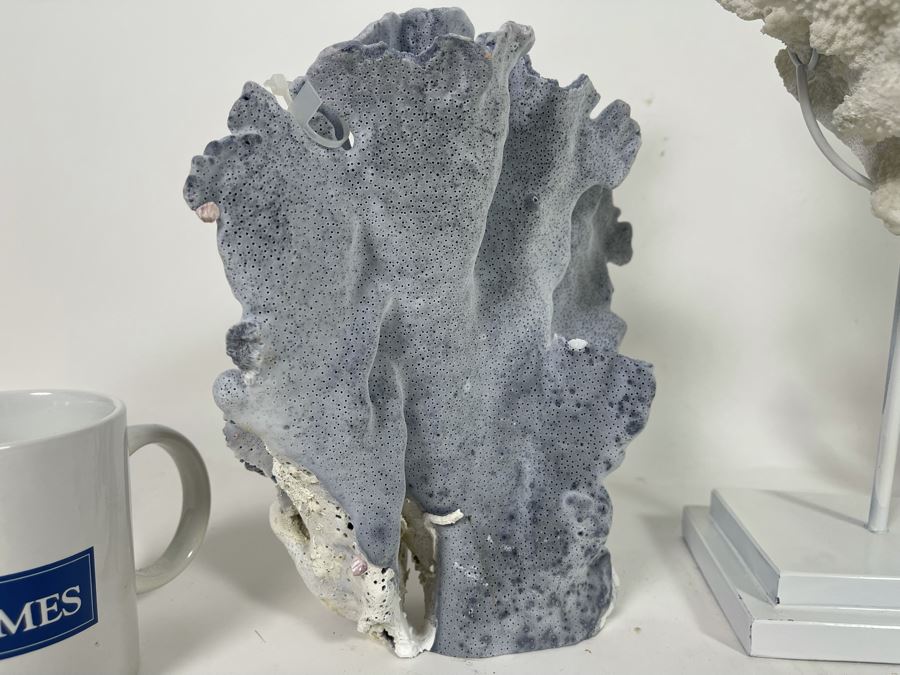 Decorative Faux Coral Home Decor [Photo 4]