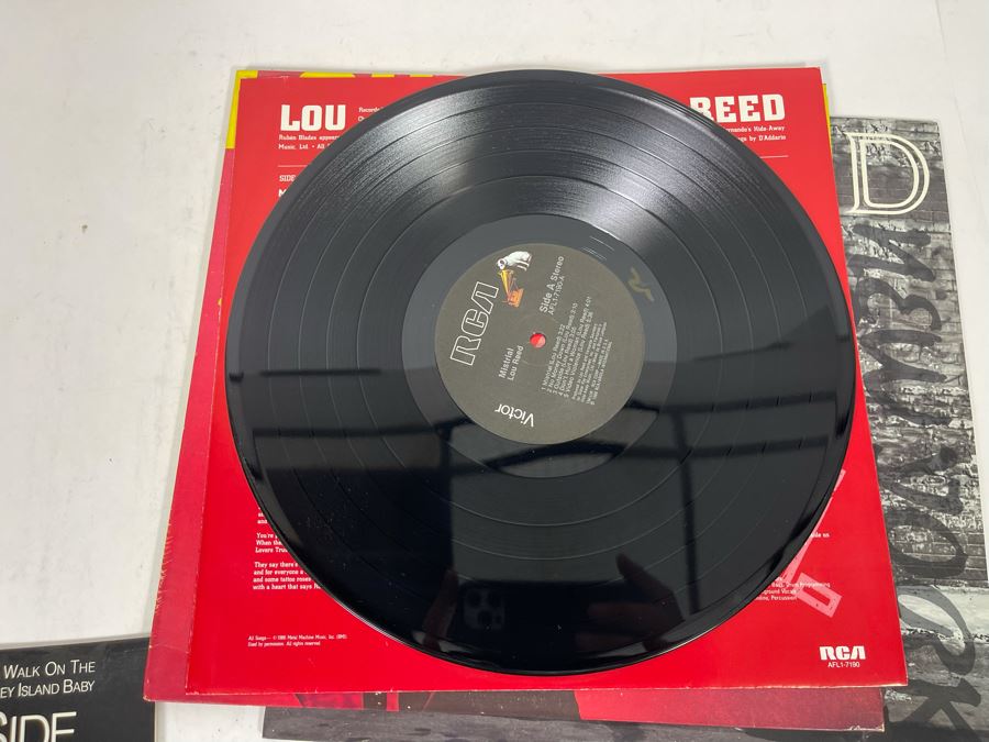 (3) Lou Reed Vinyl Records [Photo 9]