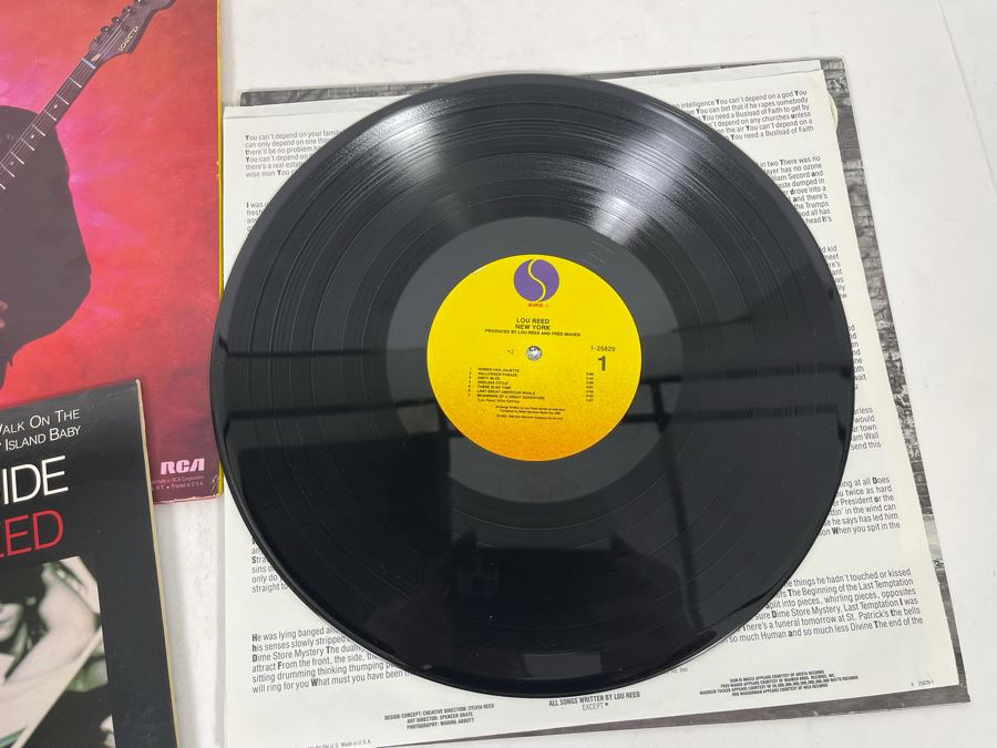 (3) Lou Reed Vinyl Records [Photo 6]