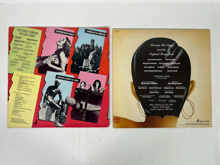 (2) The Rocky Horror Picture Show Vinyl Records [Photo 4]