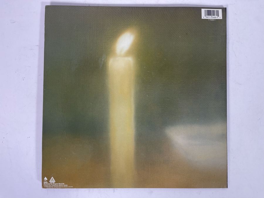 Sonic Youth Daydream Nation Vinyl Record 75403-1 [Photo 3]