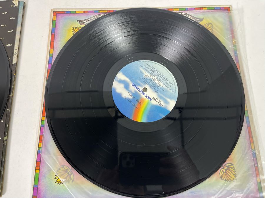(2) Lynyrd Skynyrd Vinyl Records [Photo 9]