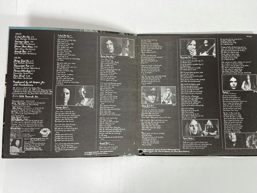 (2) Lynyrd Skynyrd Vinyl Records [Photo 5]