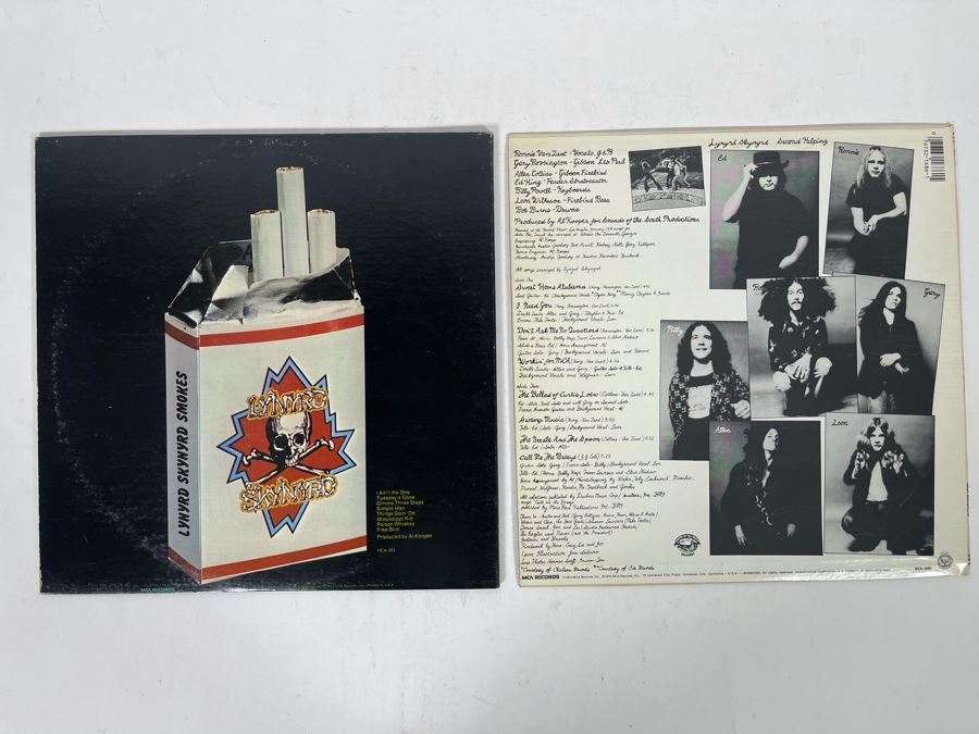 (2) Lynyrd Skynyrd Vinyl Records [Photo 4]