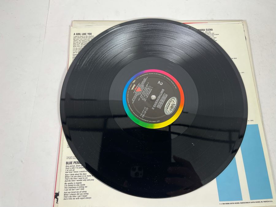 (2) The Smithereens Vinyl Records [Photo 8]