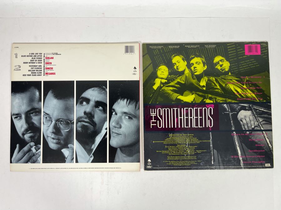 (2) The Smithereens Vinyl Records [Photo 4]