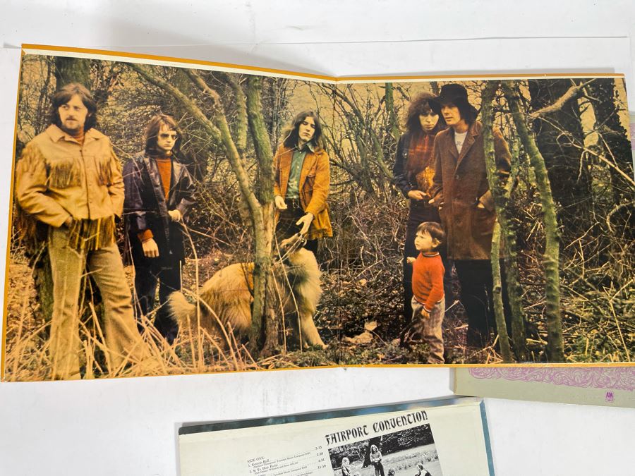 (3) Fairport Convention Vinyl Records [Photo 6]