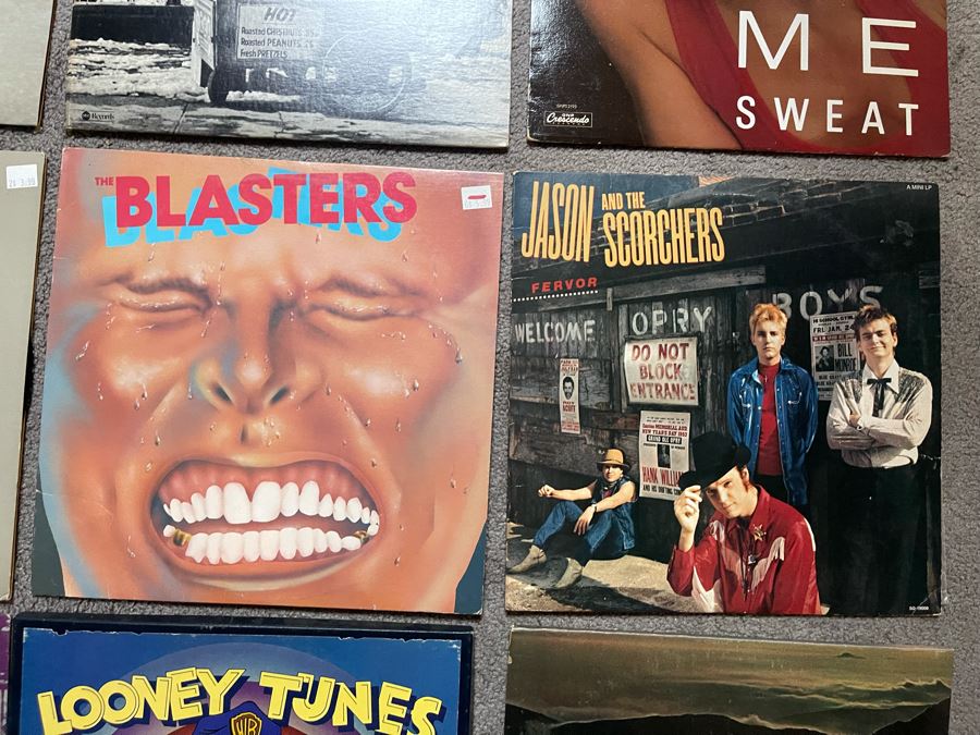 JUST ADDED - (12) Vinyl Record Lot [Photo 4]