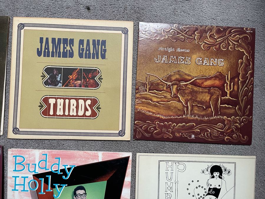 JUST ADDED - (12) Vinyl Record Lot [Photo 4]