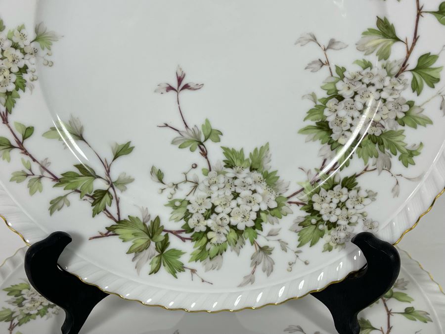 Franconia K & A Krautheim Germany Dinner Plates Hawthorn Pattern 10 3/4R [Photo 3]