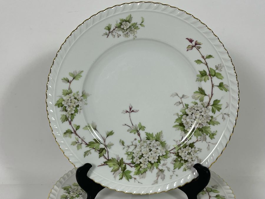 Franconia K & A Krautheim Germany Dinner Plates Hawthorn Pattern 10 3/4R [Photo 2]
