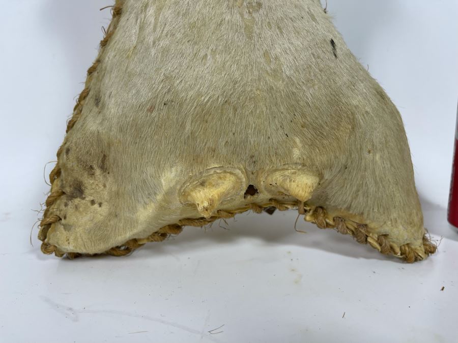 Handmade Rawhide Basket 9.5W X 11H [Photo 3]