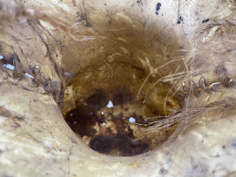 Handmade Rawhide Basket 9.5W X 11H [Photo 10]