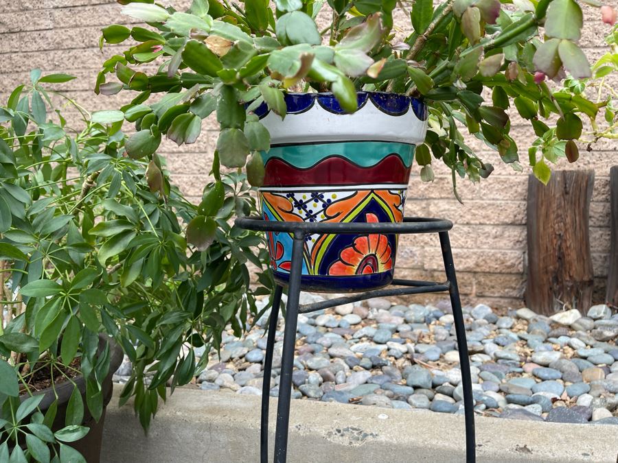 Collection Of Mainly Mexican Triple Glazed Pots And Plants Apx 13 Pots [Photo 12]