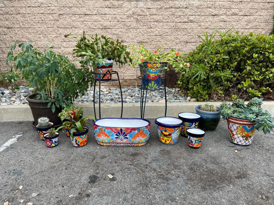 Collection Of Mainly Mexican Triple Glazed Pots And Plants Apx 13 Pots