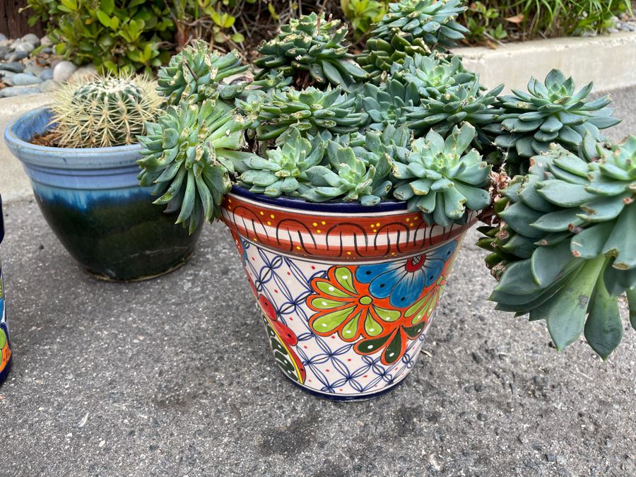 Collection Of Mainly Mexican Triple Glazed Pots And Plants Apx 13 Pots [Photo 4]